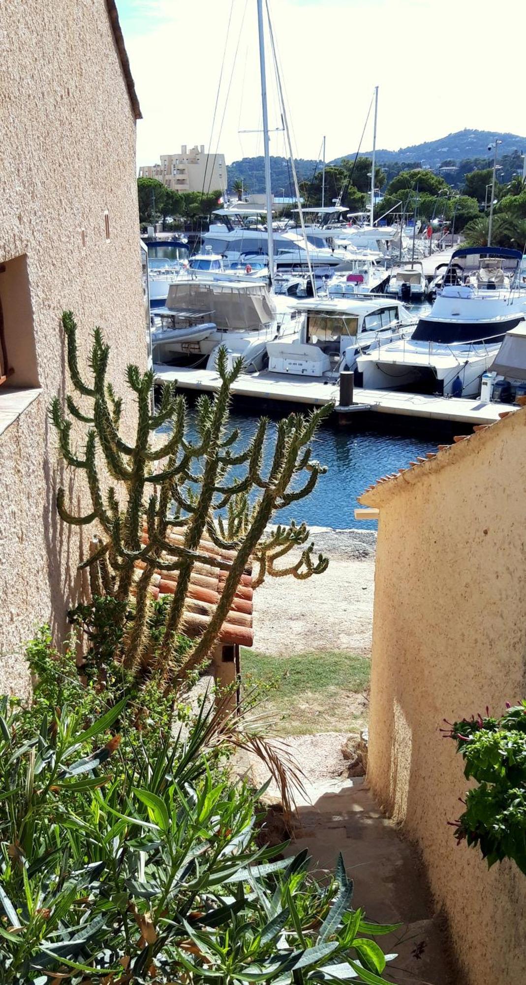 T2 Terrasse, Bormes Les Mimosas La Faviere, 5 Pers, 5 Mn A Pieds Des Plages Et Commerces المظهر الخارجي الصورة