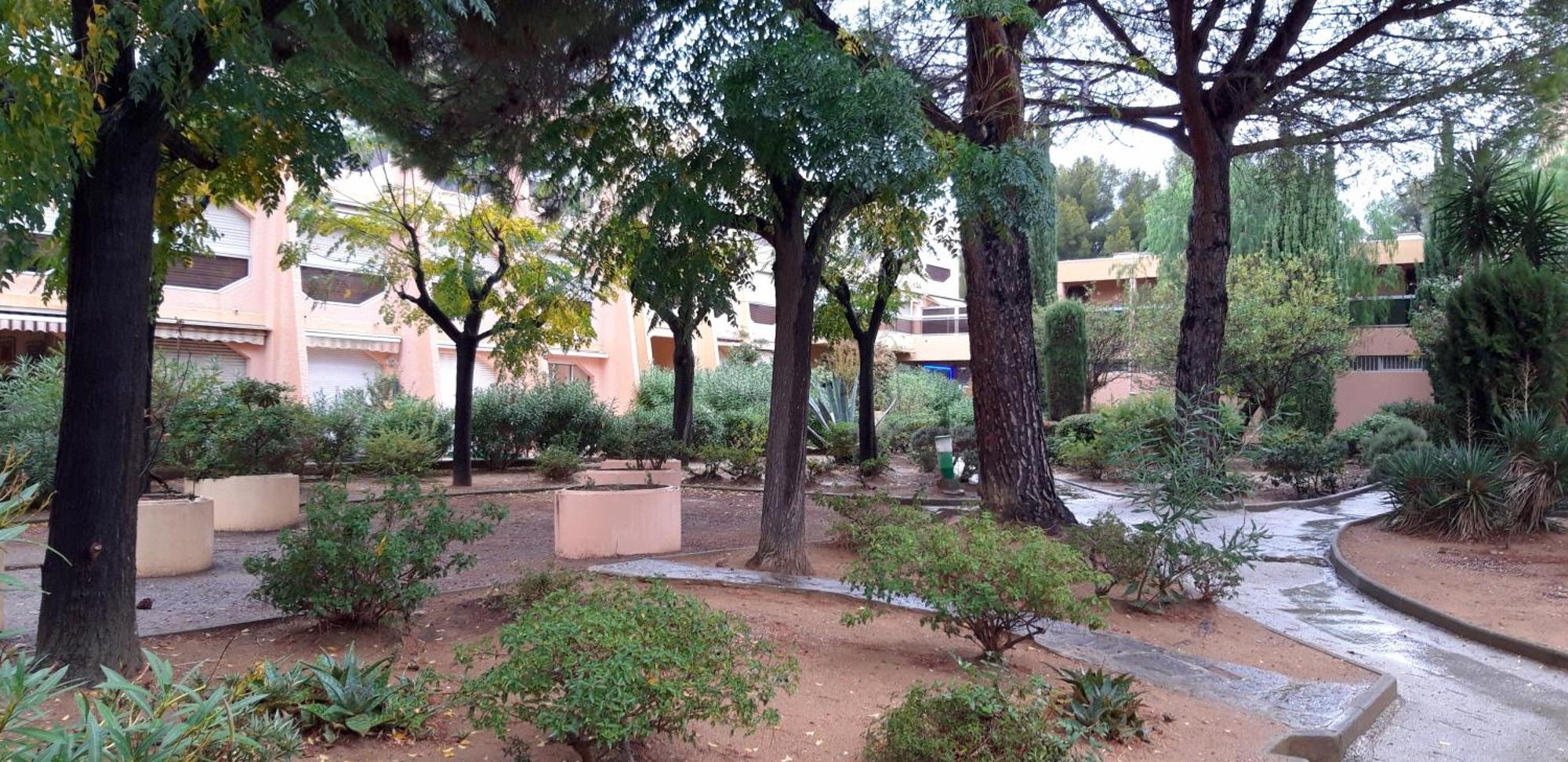 T2 Terrasse, Bormes Les Mimosas La Faviere, 5 Pers, 5 Mn A Pieds Des Plages Et Commerces المظهر الخارجي الصورة